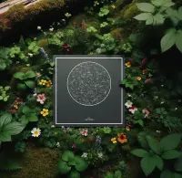 Starrymaps Poster on a forest floor with plans and flowers around.
